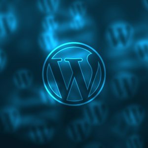 wordpress package
